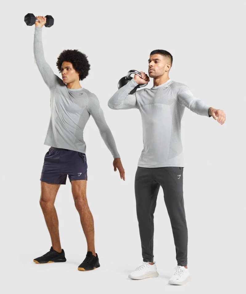 Men's Gymshark Apex Seamless Long Sleeve T-Shirts Light Grey | NZ 1DAUJF